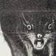 Terrifying teeth courtesy of the original Willard poster.